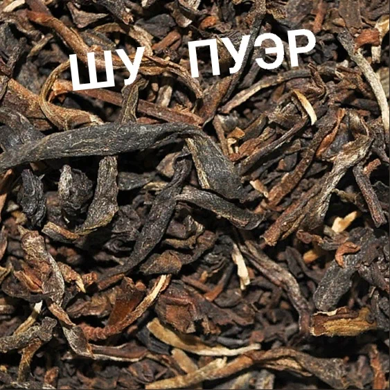 orig (69)