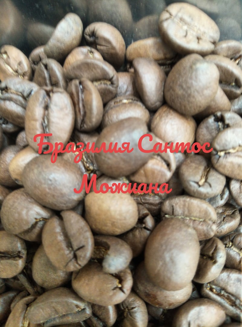 бразилия сантос